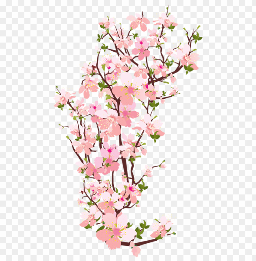 spring png