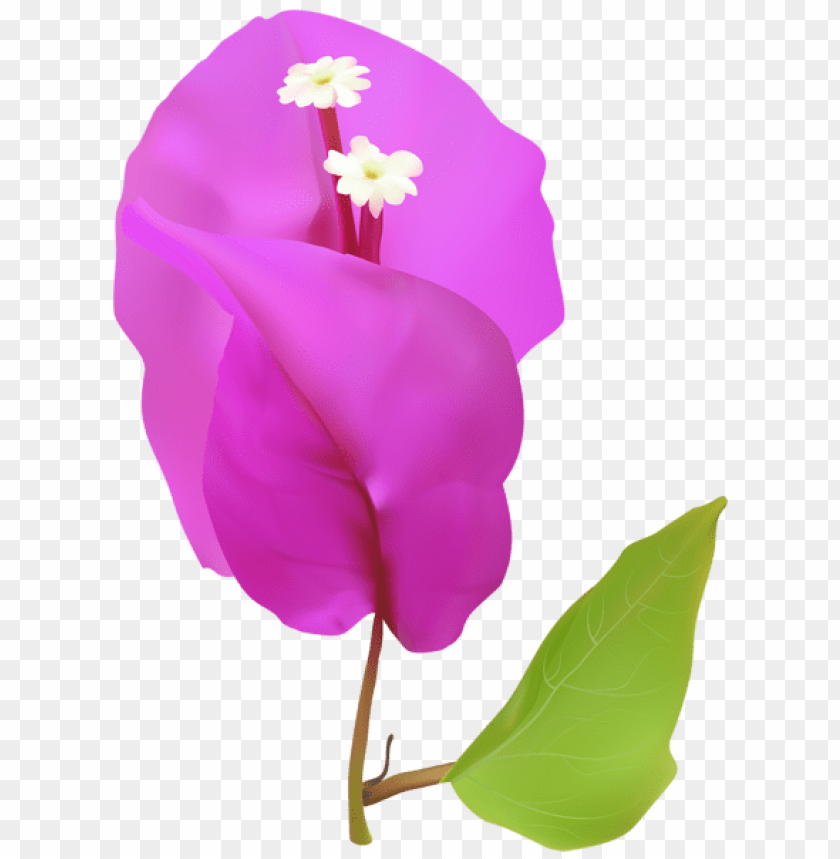 spring png