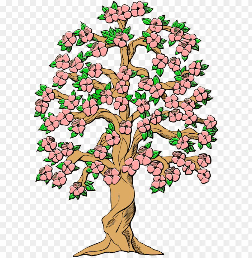 spring tree png, spring,png,tree