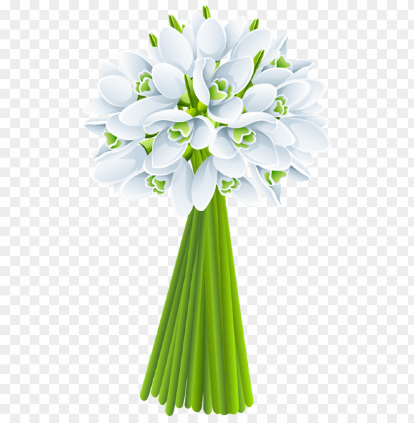 flowers png, spring png, flower png