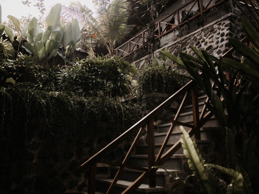 stairs, plants, tropical, decorative, building