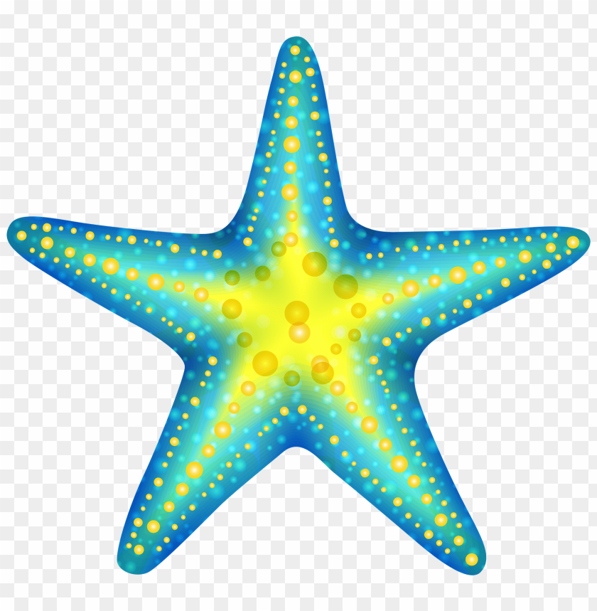 starfish png, png,starfish