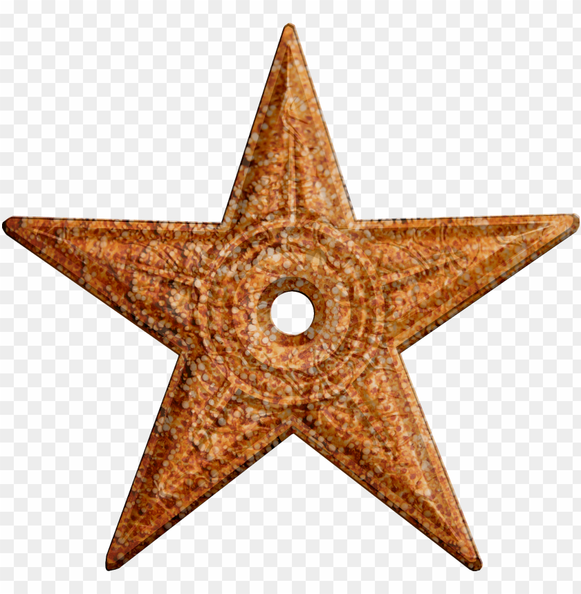 starfish png, png,starfish