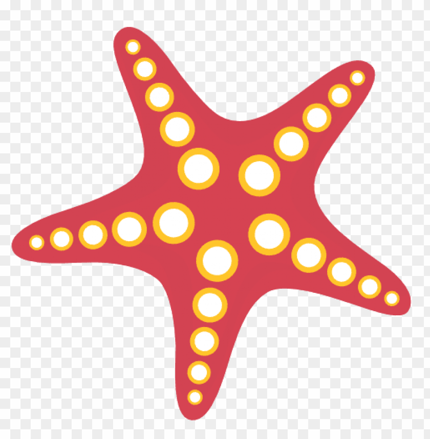 starfish png, png,starfish