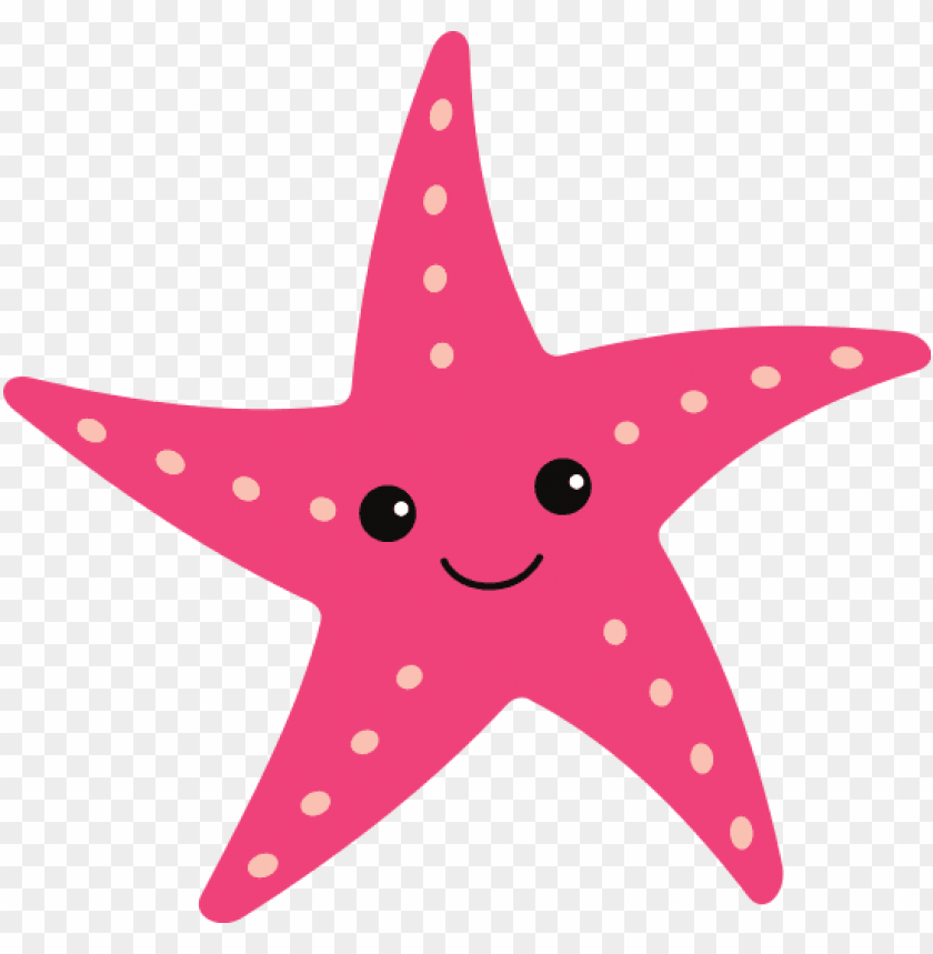 starfish png, png,starfish