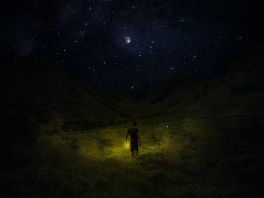 starry sky, man, night, field, sky, grass