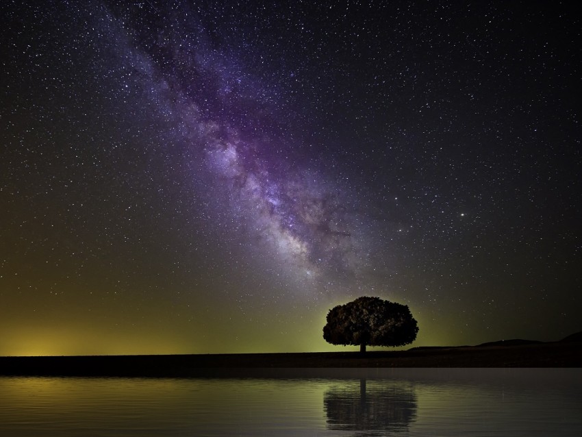 starry sky, milky way, tree, horizon, coast, night