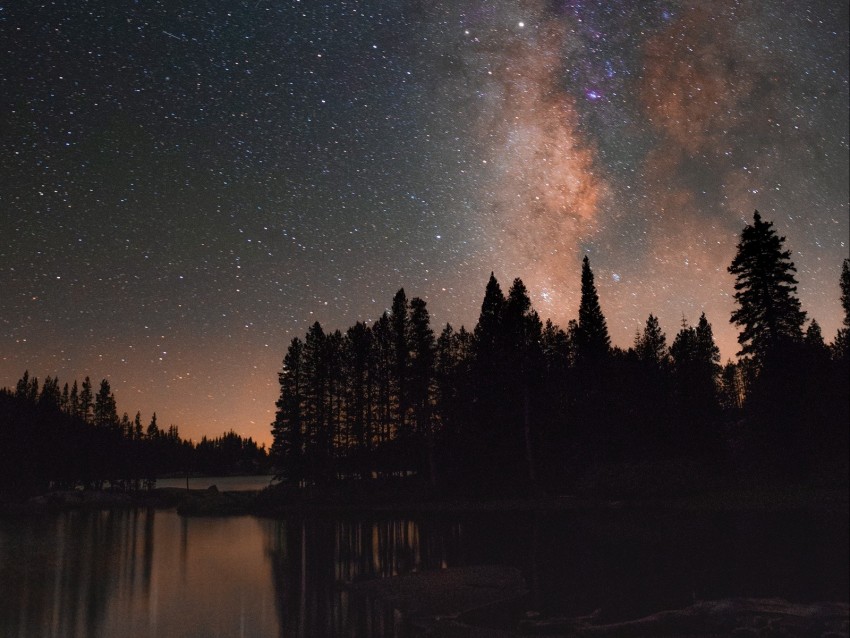 starry sky, milky way, trees, lake, night, stars