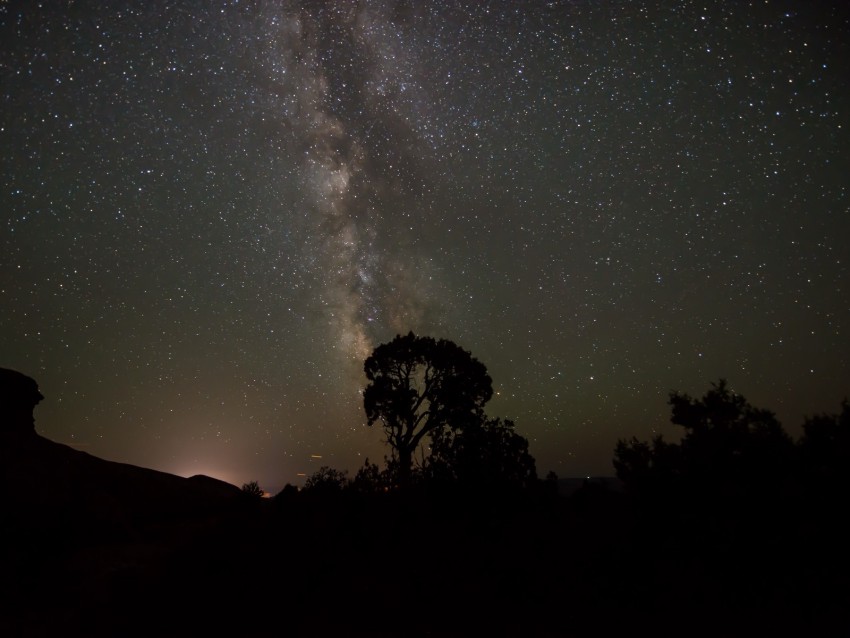 Starry Sky Milky Way Trees Night Silhouettes Outlines Dark Background