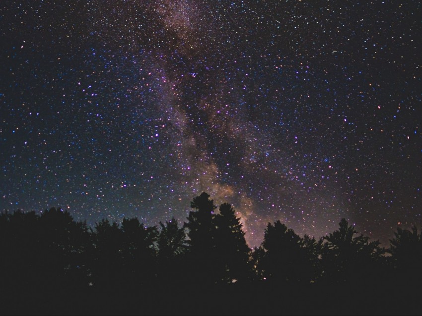 starry sky, milky way, trees, stars, night, shine, dark