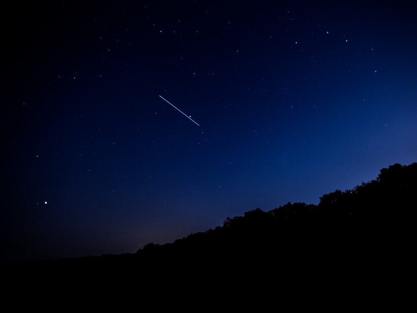 Starry Sky Night Stars Fall Trees Darkness Background