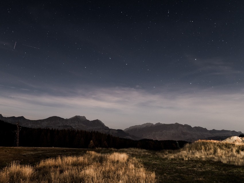 starry sky, night, stars, grass, mountains