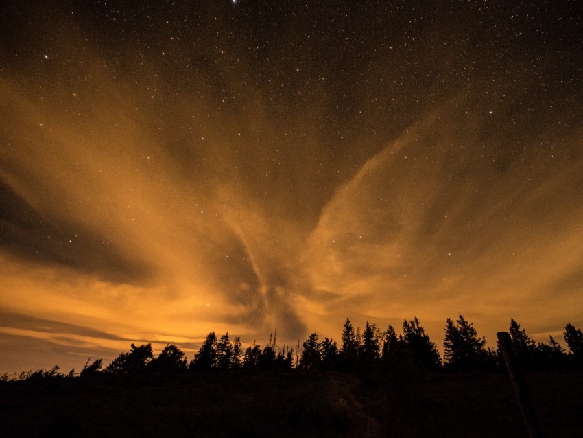 starry sky, night, trees, clouds, dark, shine, stars