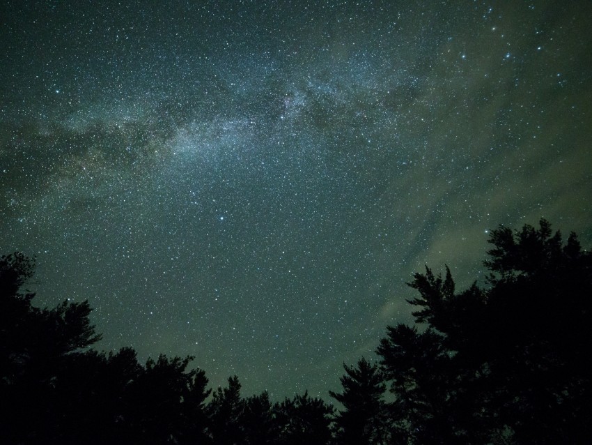 starry sky, night, trees, dark, milky way