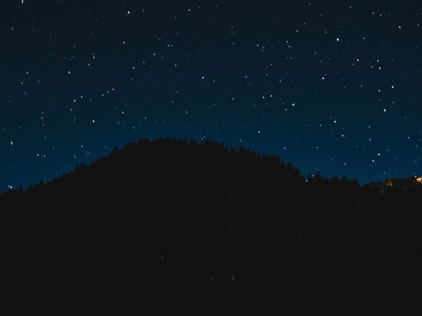 starry sky, night, trees, stars, shine, sky