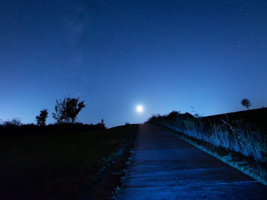 Starry Sky Rise Night Shine Horizon Background