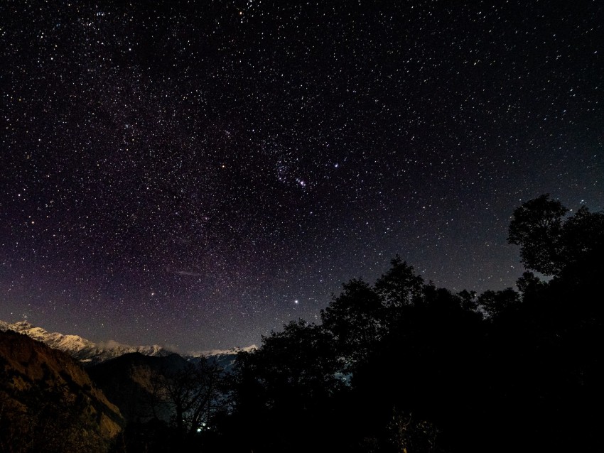 Starry Sky Stars Shine Night Trees Starry Night Background