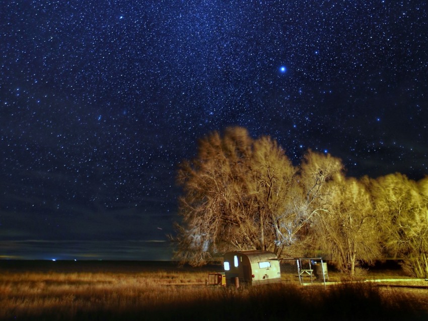 Starry Sky Stars Trees Night Dark Background