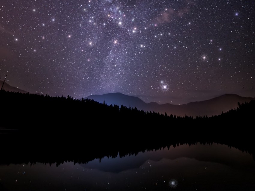 starry sky, trees, mountains, night, stars, forest, shine