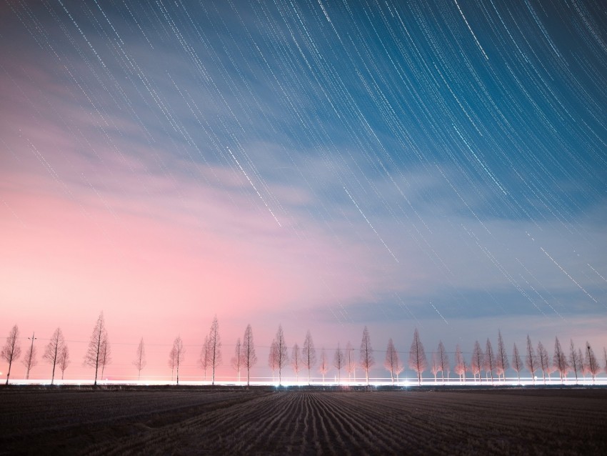 Starry Sky Trees Night Sky Stars Background