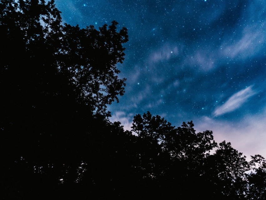 starry sky, trees, night, stars, clouds, dark