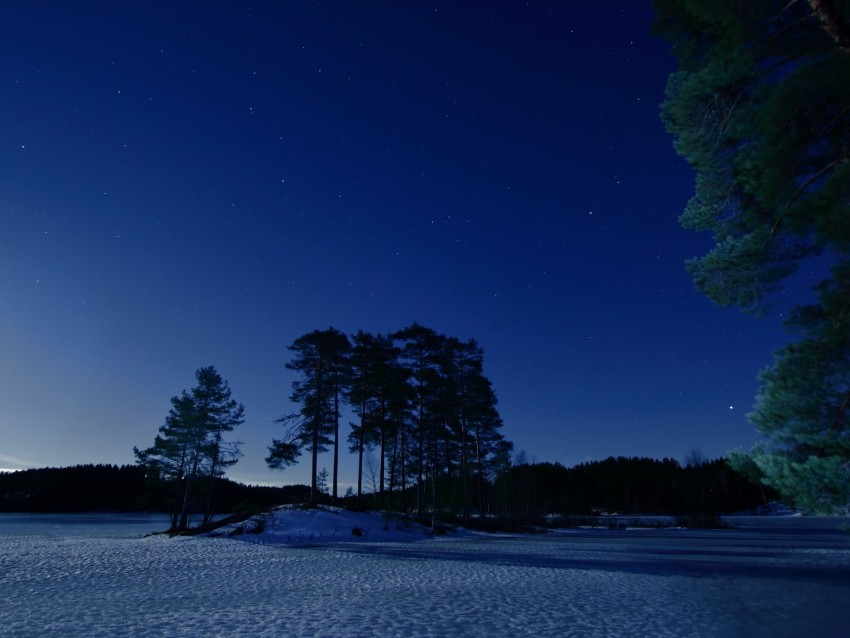 starry sky, winter, snow, trees, night, twilight