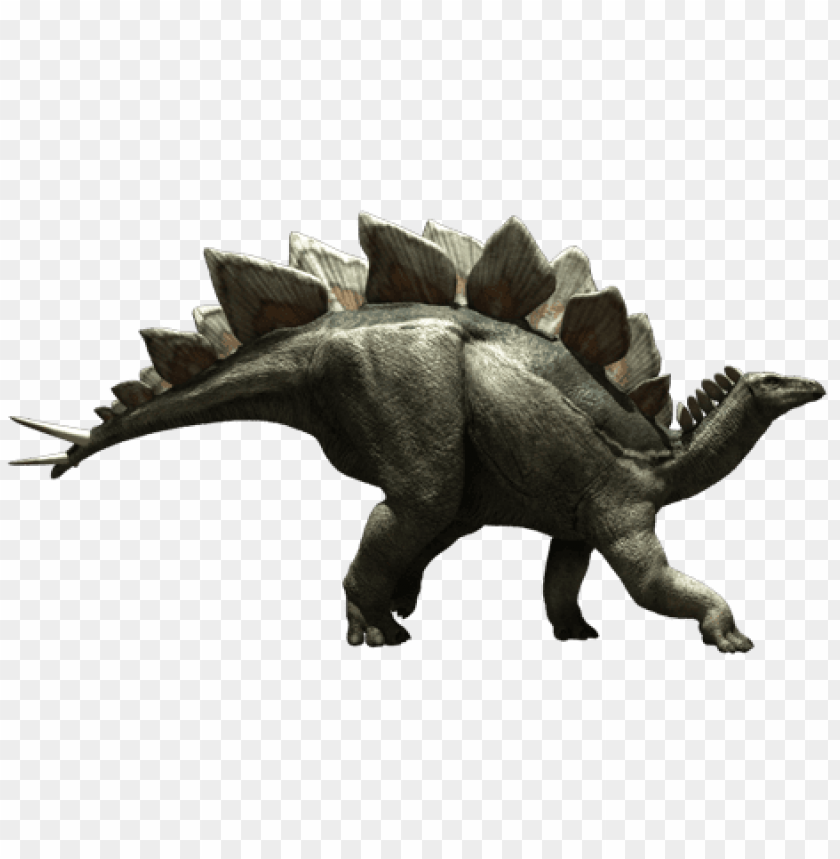 stegosaurus