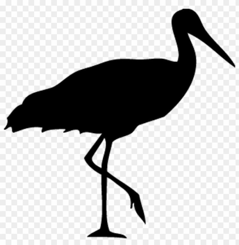 animals, birds, storks, stork, 