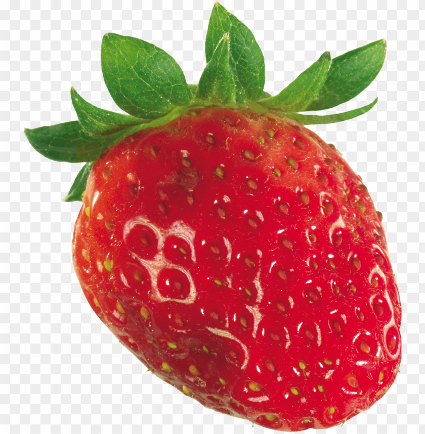 
strawberry
, 
genus fragaria
, 
strawberries
, 
fruit
, 
botanical berry
, 
bright red color
, 
juicy texture
