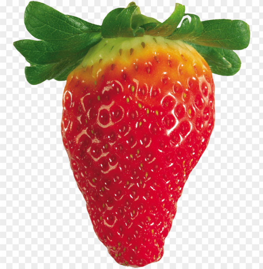 
strawberry
, 
genus fragaria
, 
strawberries
, 
fruit
, 
botanical berry
, 
bright red color
, 
juicy texture
