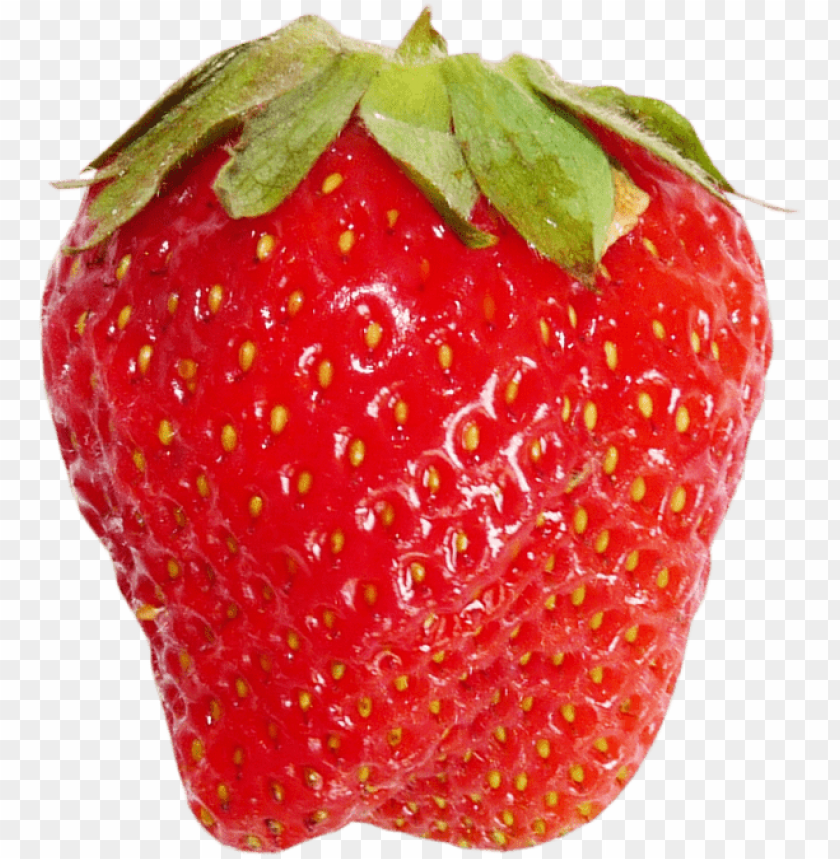 
strawberry
, 
genus fragaria
, 
strawberries
, 
fruit
, 
botanical berry
, 
bright red color
, 
juicy texture
