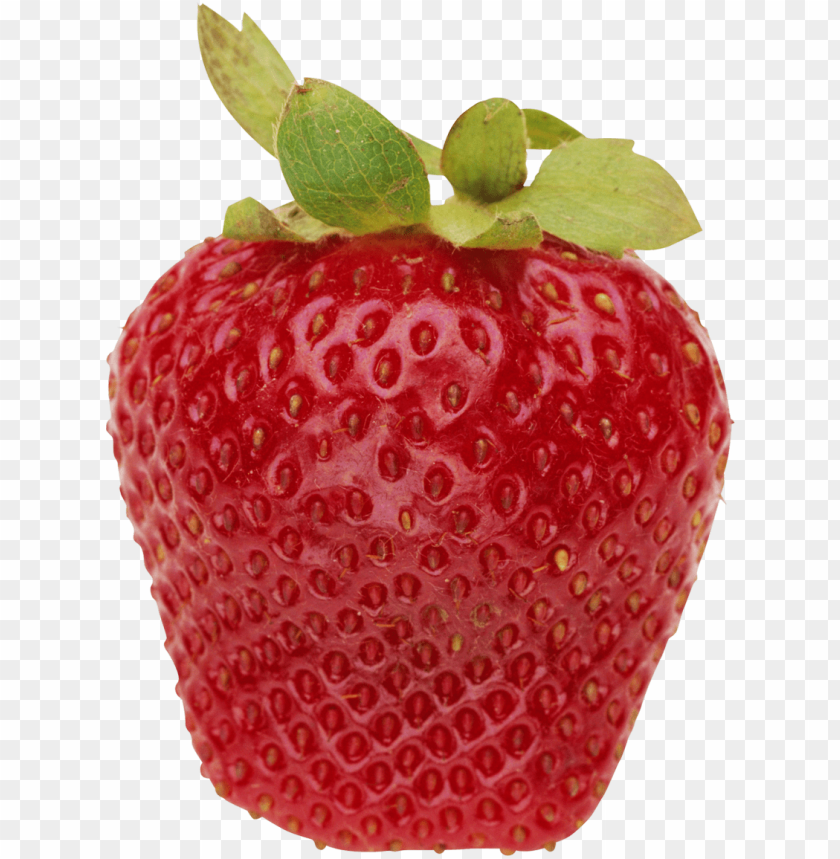 
strawberry
, 
genus fragaria
, 
strawberries
, 
fruit
, 
botanical berry
, 
bright red color
, 
juicy texture
