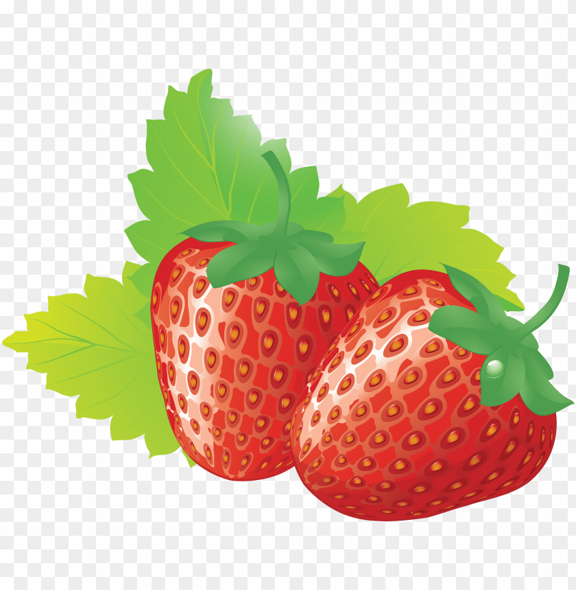 
strawberry
, 
genus fragaria
, 
strawberries
, 
fruit
, 
botanical berry
