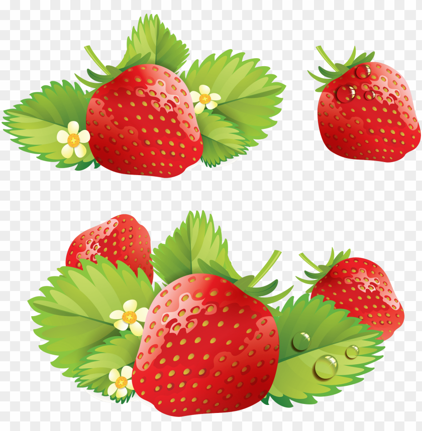 
strawberry
, 
genus fragaria
, 
strawberries
, 
fruit
, 
botanical berry
