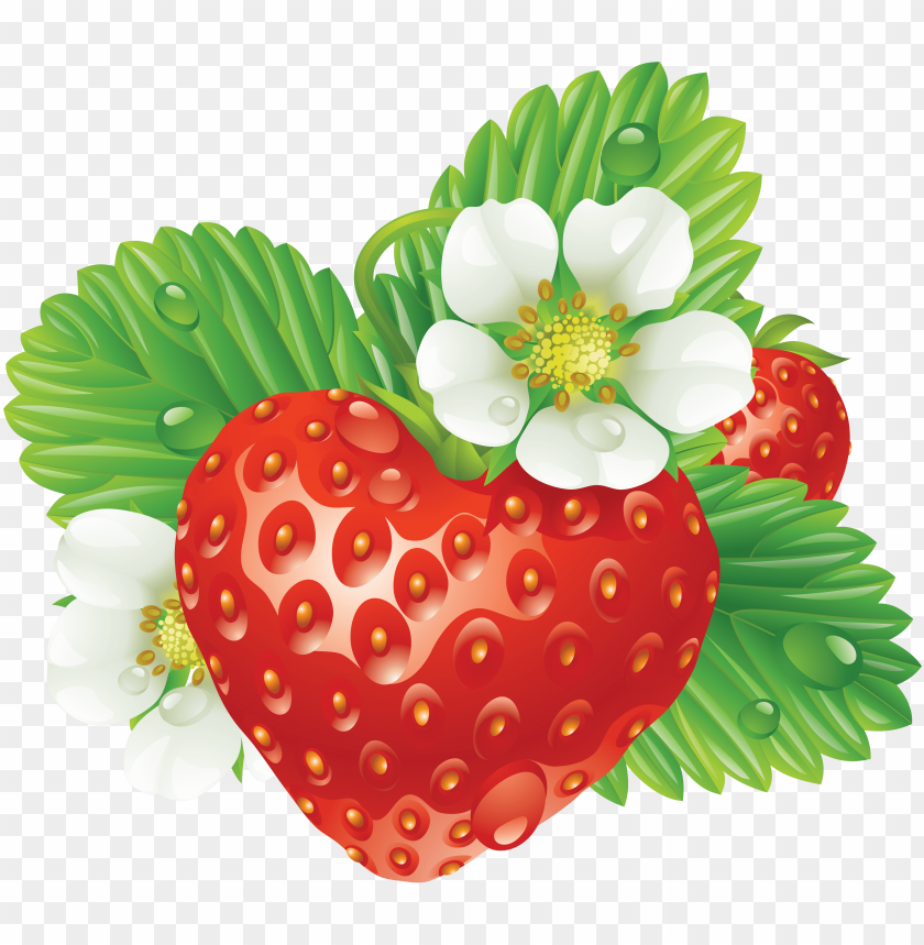 
strawberry
, 
genus fragaria
, 
strawberries
, 
fruit
, 
botanical berry
