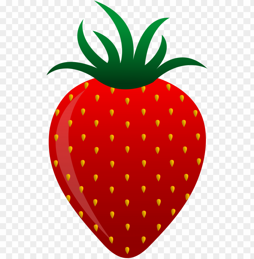 
strawberry
, 
genus fragaria
, 
strawberries
, 
fruit
, 
botanical berry
, 
bright red color
, 
juicy texture
