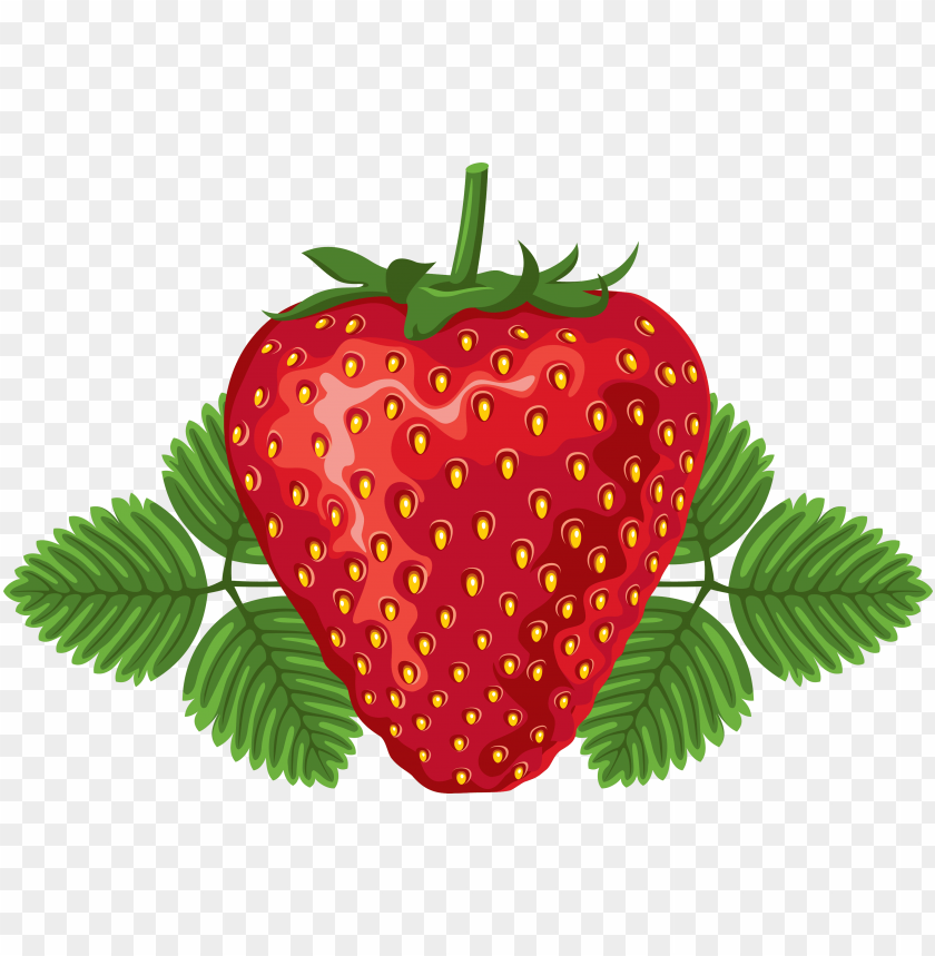 
strawberry
, 
genus fragaria
, 
strawberries
, 
fruit
, 
botanical berry
, 
bright red color
, 
juicy texture
