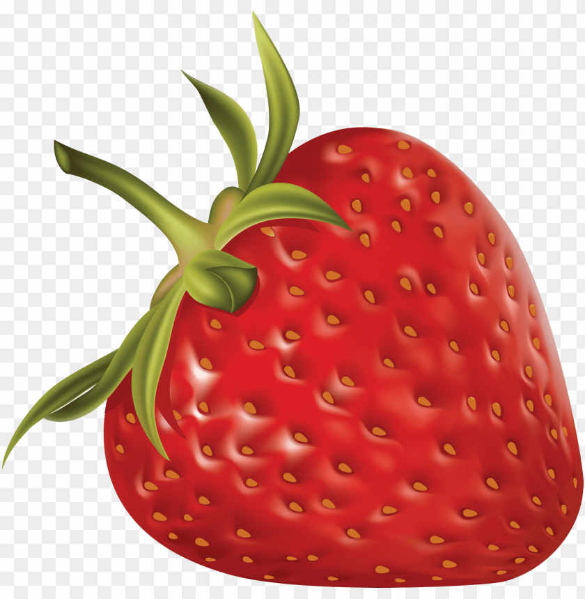 
strawberry
, 
genus fragaria
, 
strawberries
, 
fruit
, 
botanical berry
, 
bright red color
, 
juicy texture
