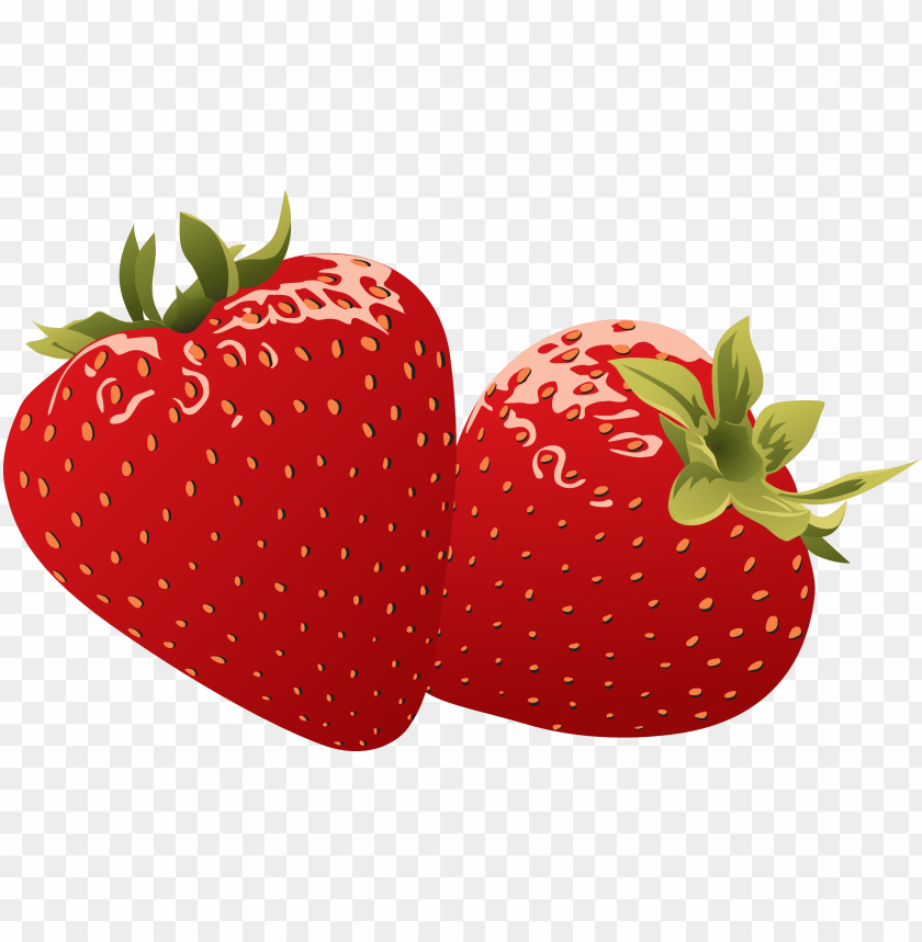 
strawberry
, 
genus fragaria
, 
strawberries
, 
fruit
, 
botanical berry
, 
bright red color
, 
juicy texture
