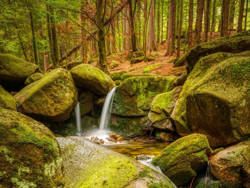 Stream Stones Moss Forest Nature Background