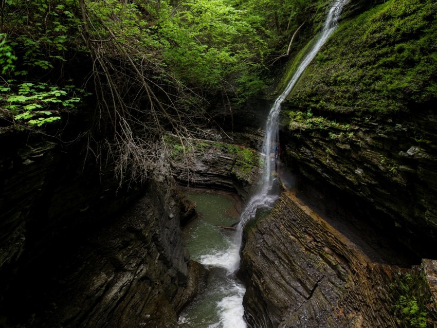 stream, waterfall, rocks, stone, trees, forest