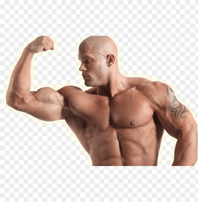 people, men, strong man bicep, 