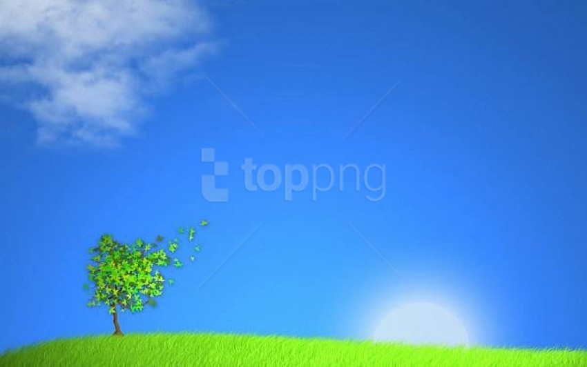 nature, blue sky, green grass, sunny landscape, tree silhouette, vibrant colors, outdoor scenery