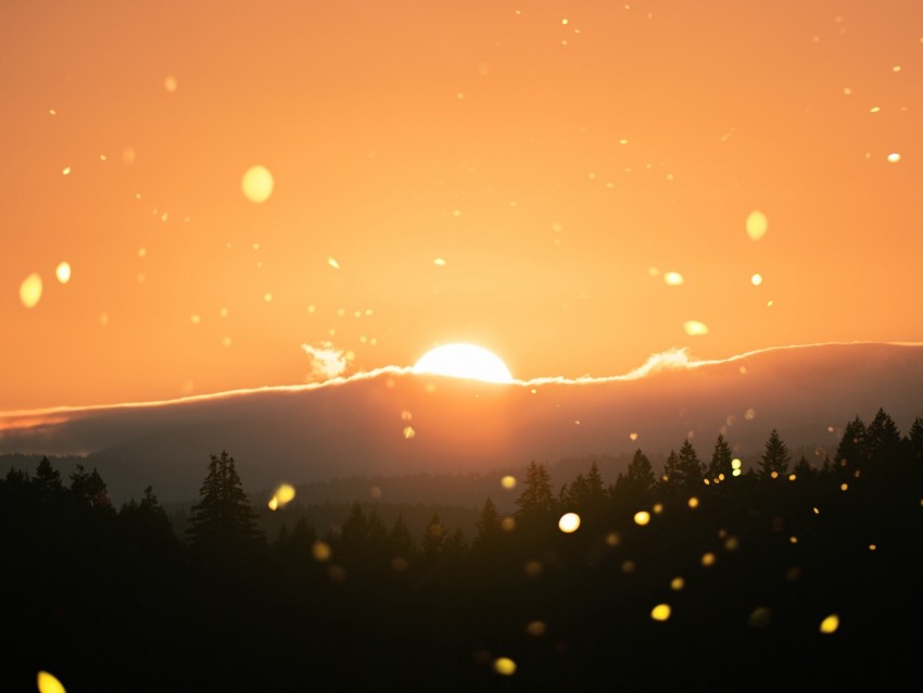 sun, flare, sunlight, sunset, landscape