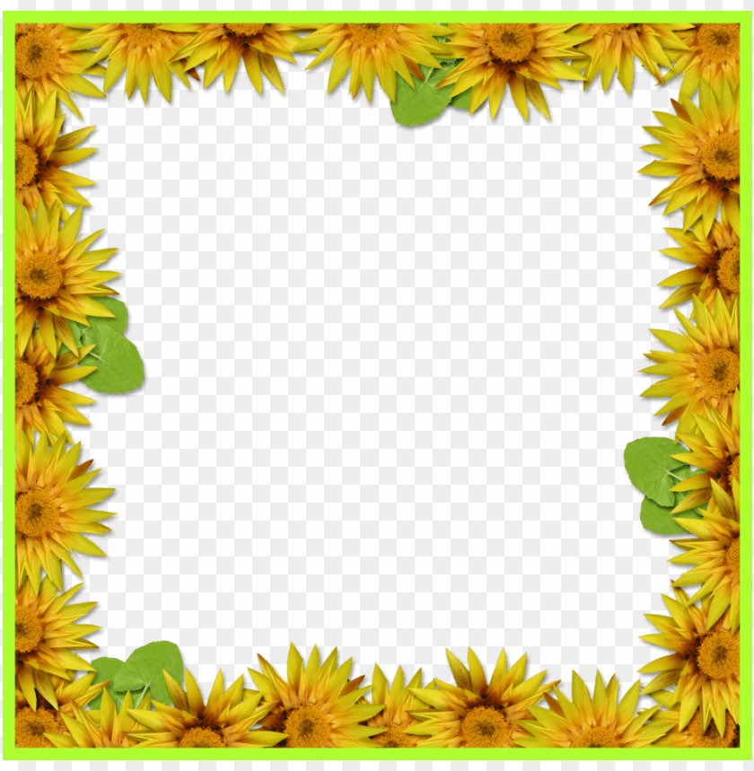 sunflower border png, png,border,sunflower