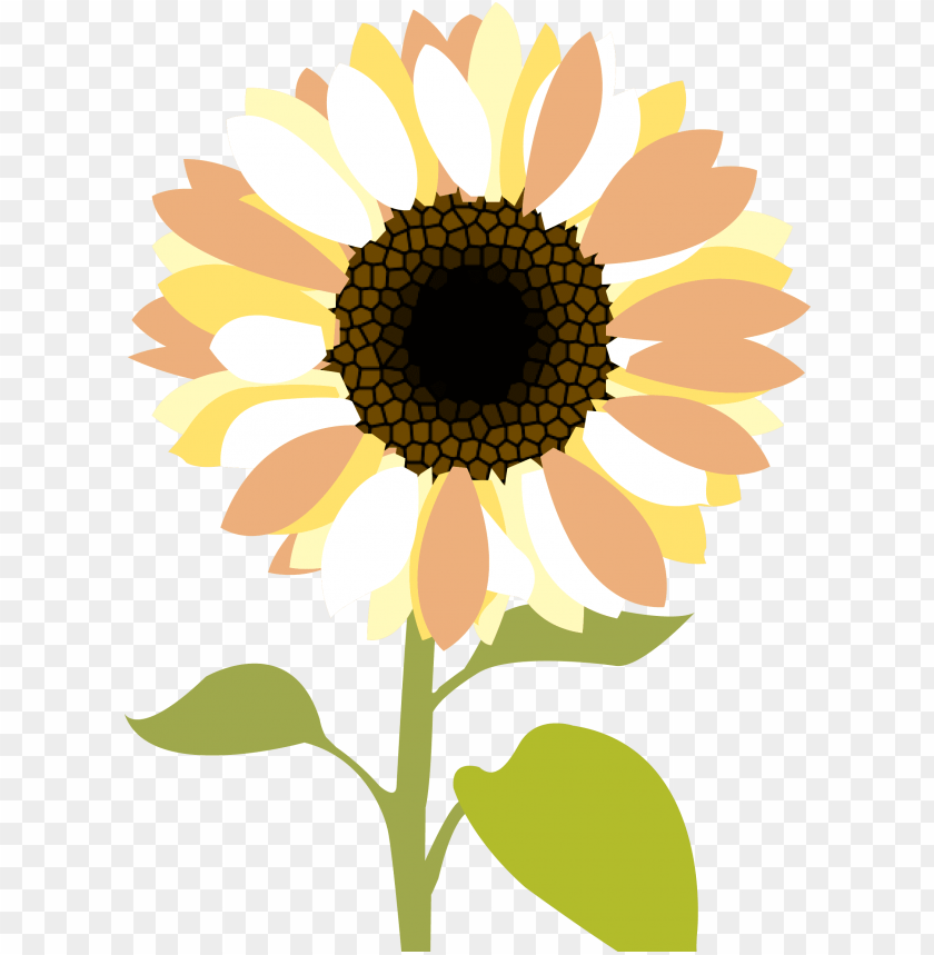 sunflower clipart png, clipart,sunflower,png