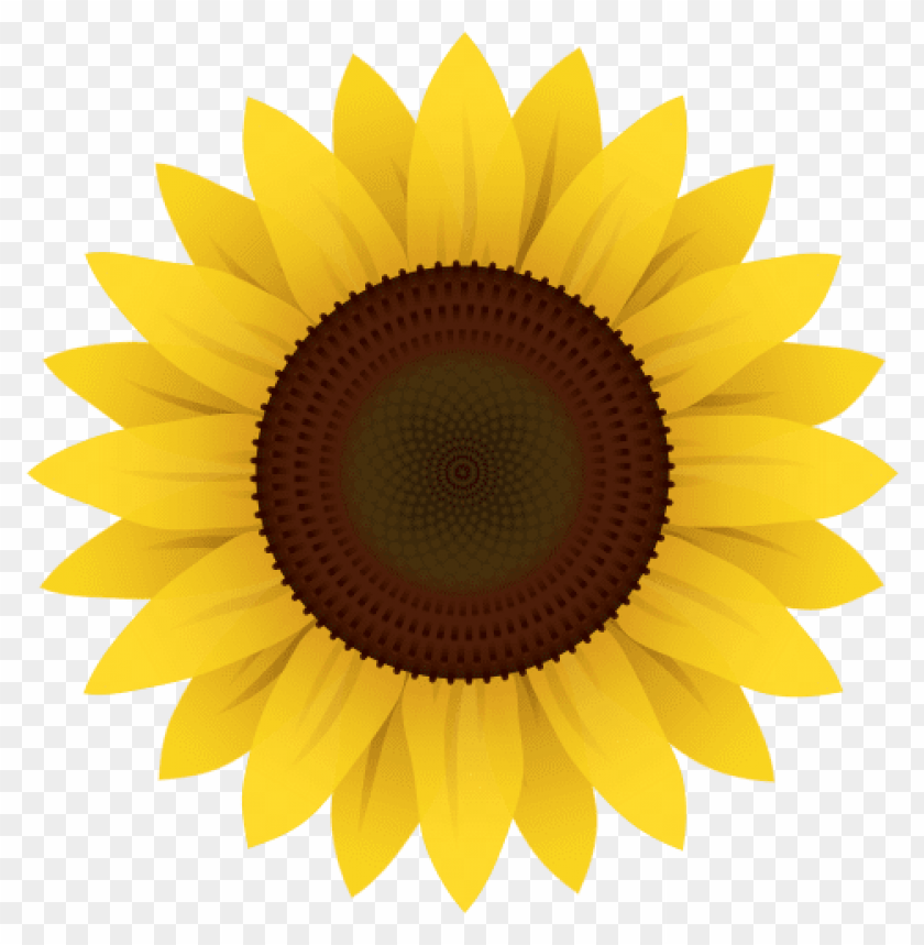 sunflower clipart png, clipart,sunflower,png