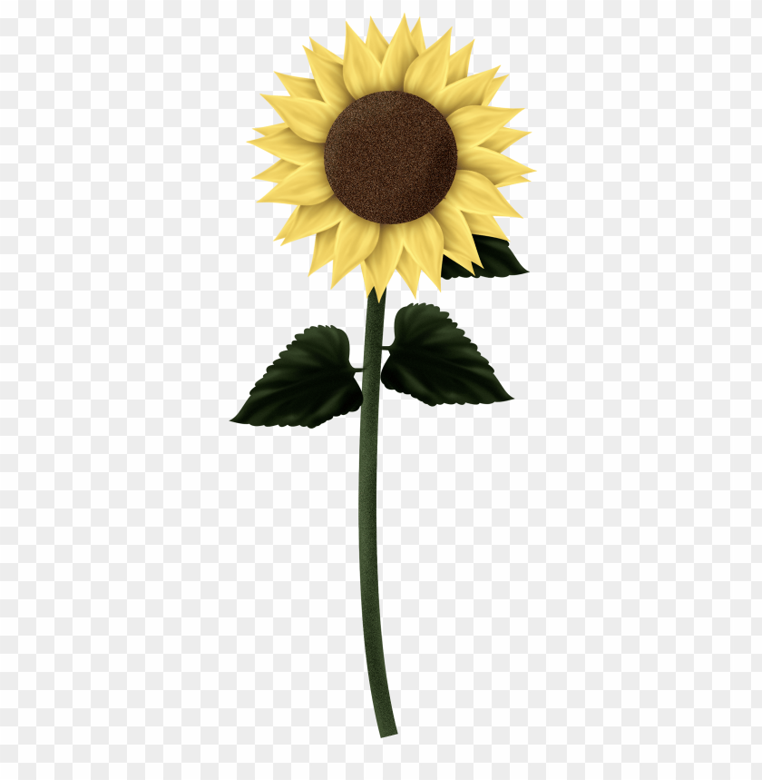 sunflower clipart png, clipart,sunflower,png