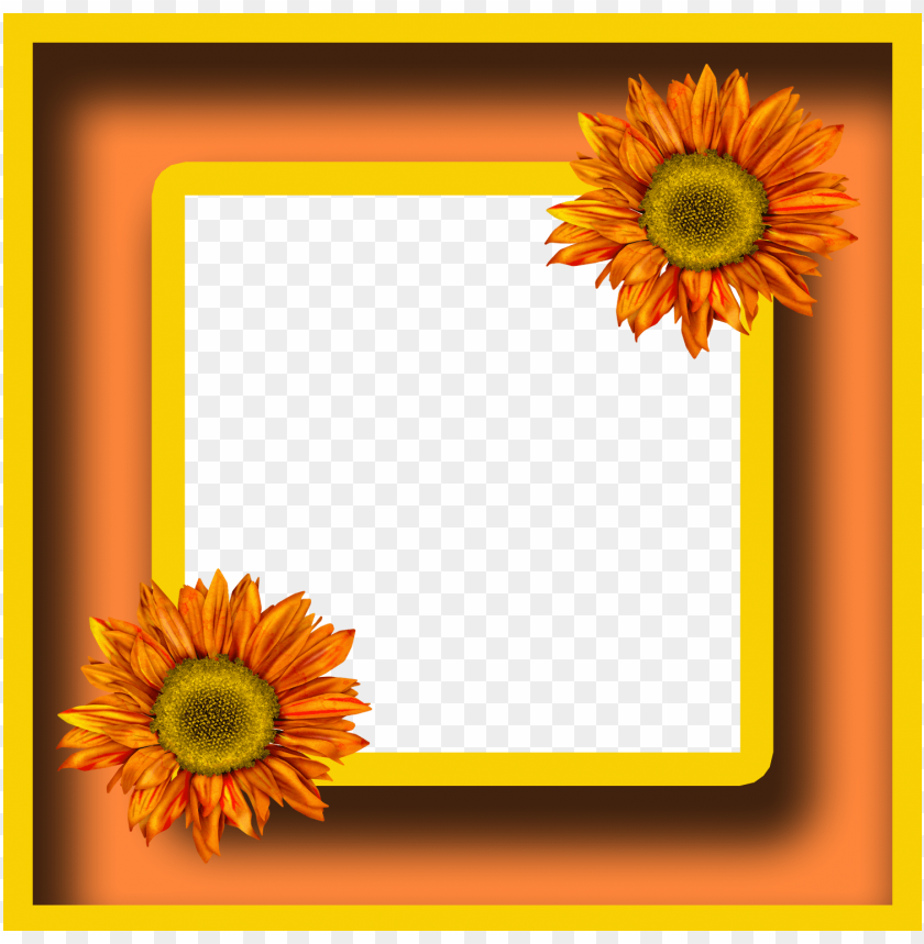 sunflower, orange background, floral design, bright colors, nature theme, decorative flowers, vibrant decor