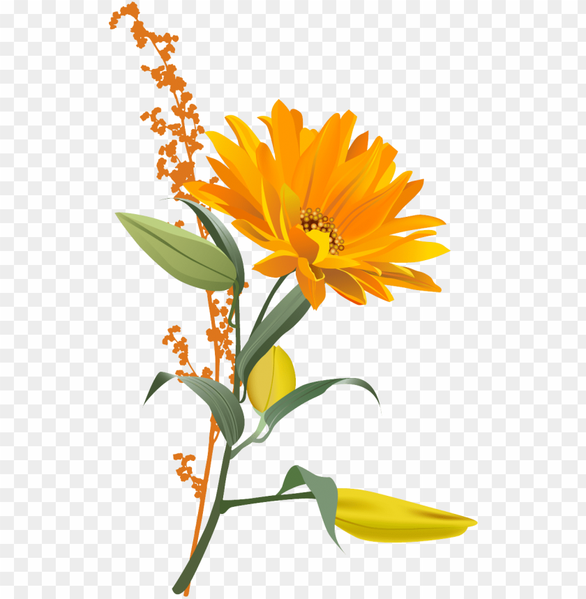 flower, orange blossom, yellow petals, green foliage, floral design, nature illustration, plant art